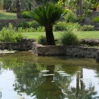 Photo de France - Le Jardin de Saint-Adrien : une oasis de verdure